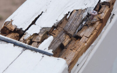 Why Replacing Rotted Wood Is Important Before You Paint Your House