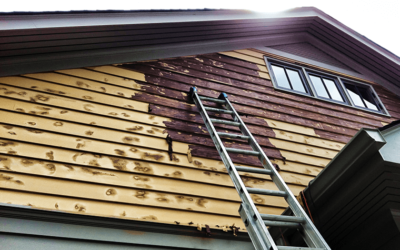 How to Determine if Your Home Needs an Exterior Repaint This Spring