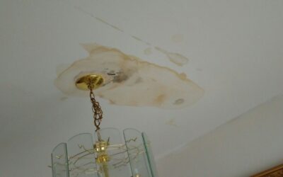 Why Should We Address Water Damage Before Painting?