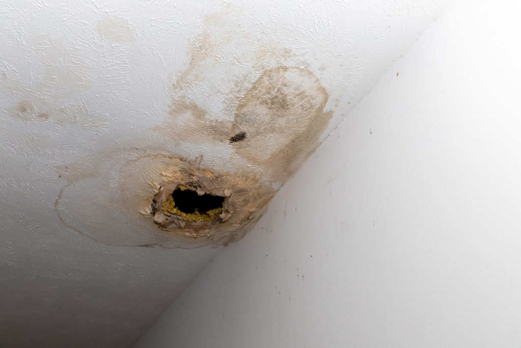 handle water damage in drywall and plaster