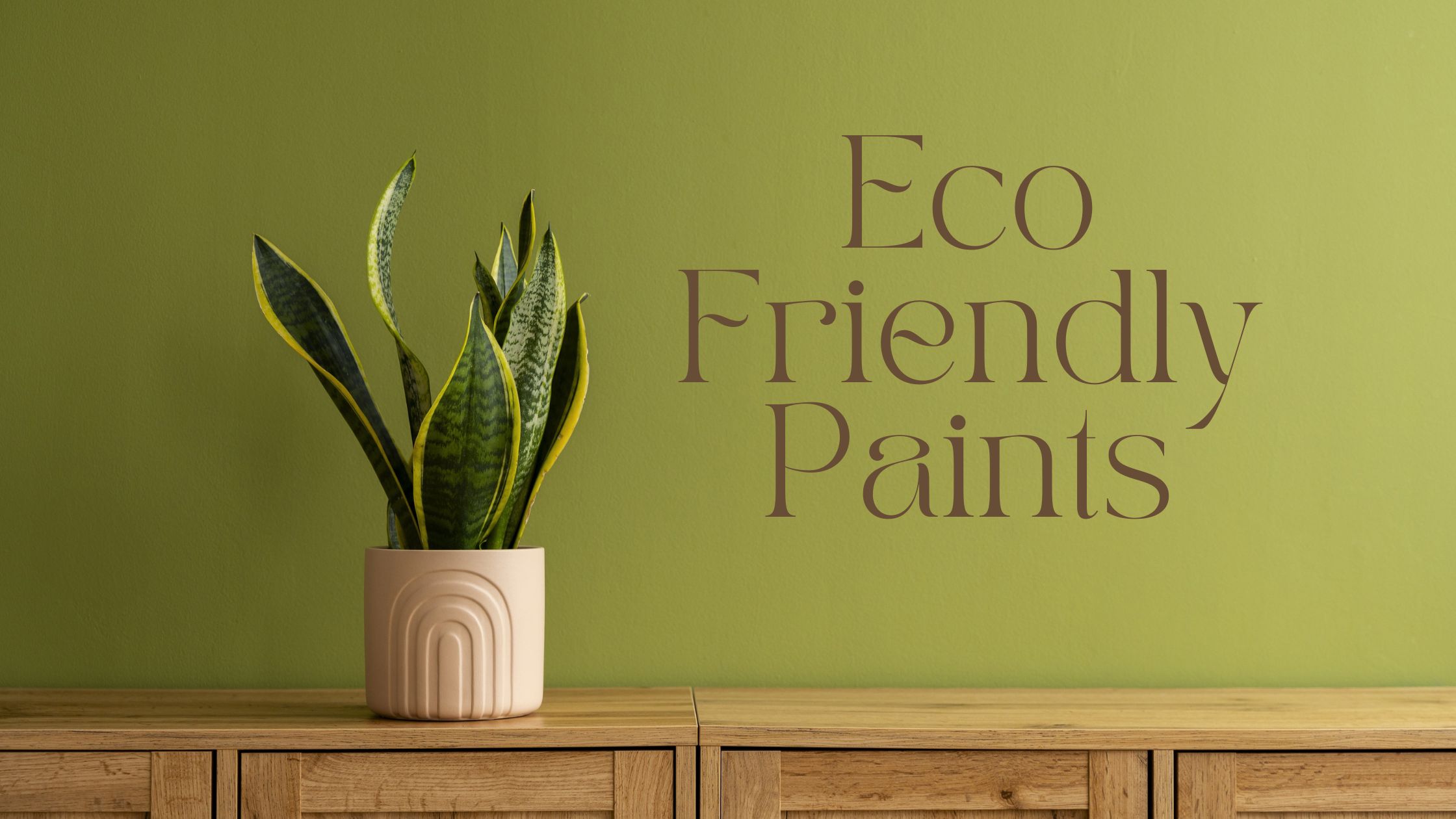 All You Need To Know About Eco-Friendly Paints eco-friendly paints